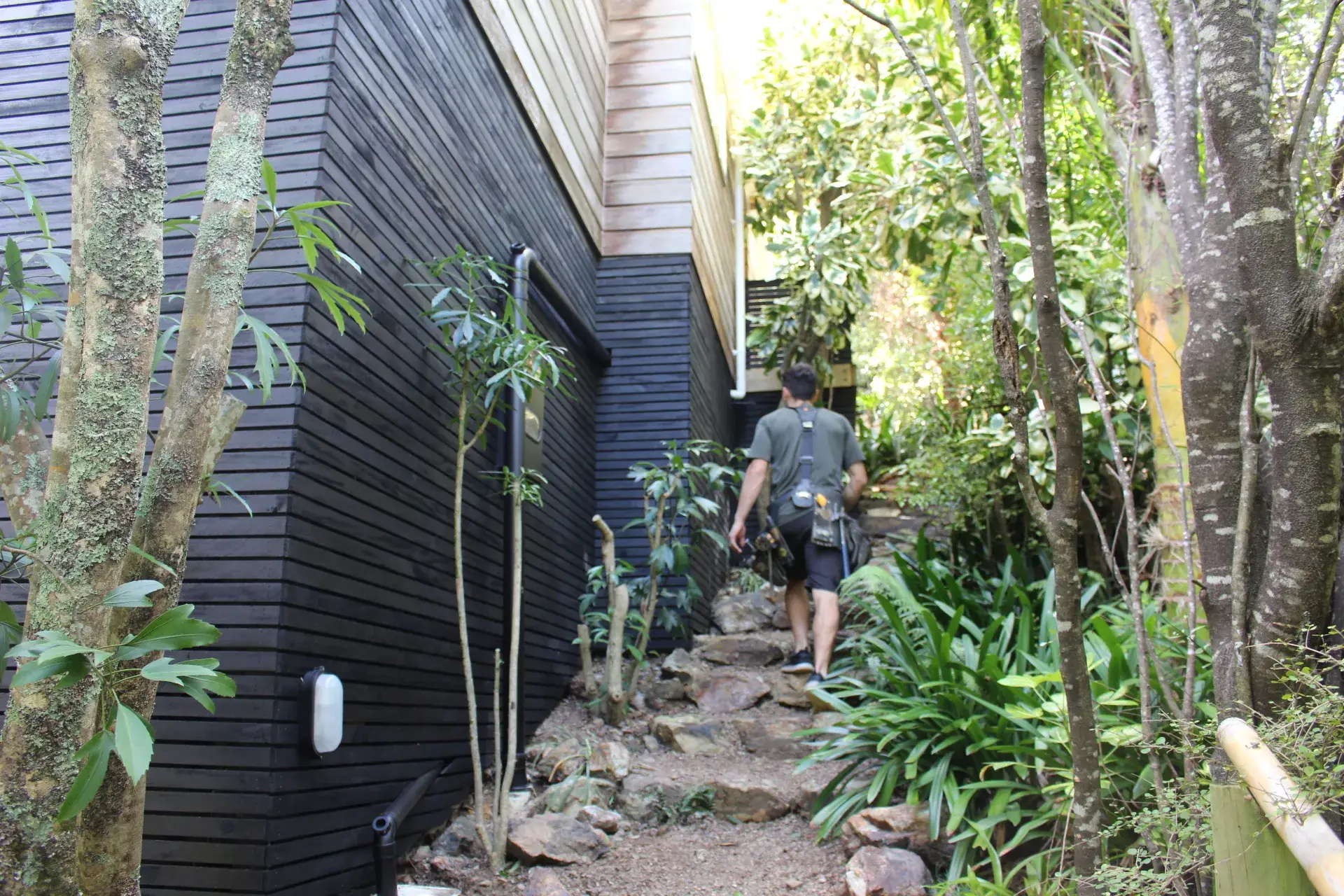 Renovation budgeting and planning — MJones Building